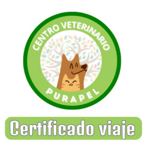 Certificado viaje