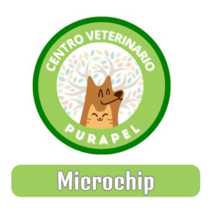 Microchip