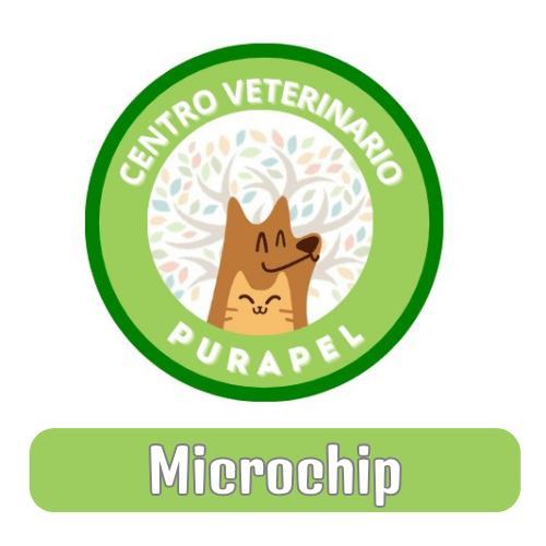 Microchip