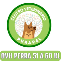 OVH PERRA 51 A 60 KILOS