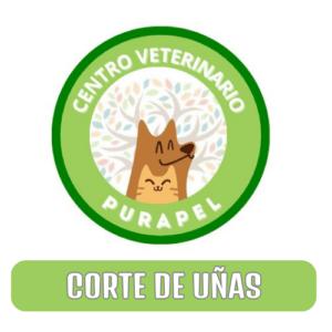 CORTE UÑAS CON SEDACIÓN