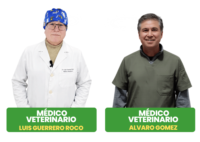 Equipo Médico Veterinario vetpurapel